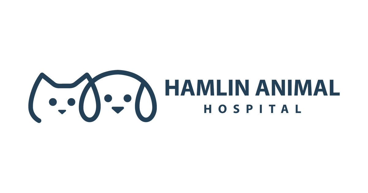 HighQuality Vet Hospital in Winter Garden, FL Hamlin Animal Hospital